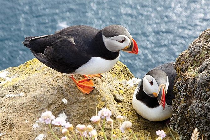 Galway to Cliffs of Moher, Aillwee Cave & Dunguaire Castle Tour - The Wild Atlantic Way on the return route