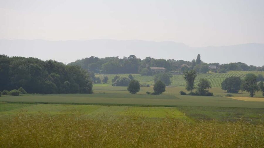 Geneva Countryside And Art Museum At A Castle Wine By E-Bike - The art museum option needs careful checking