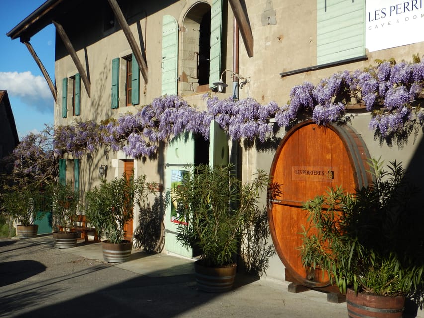 Geneva Countryside And Art Museum At A Castle Wine By E-Bike - Is $140 a fair price?