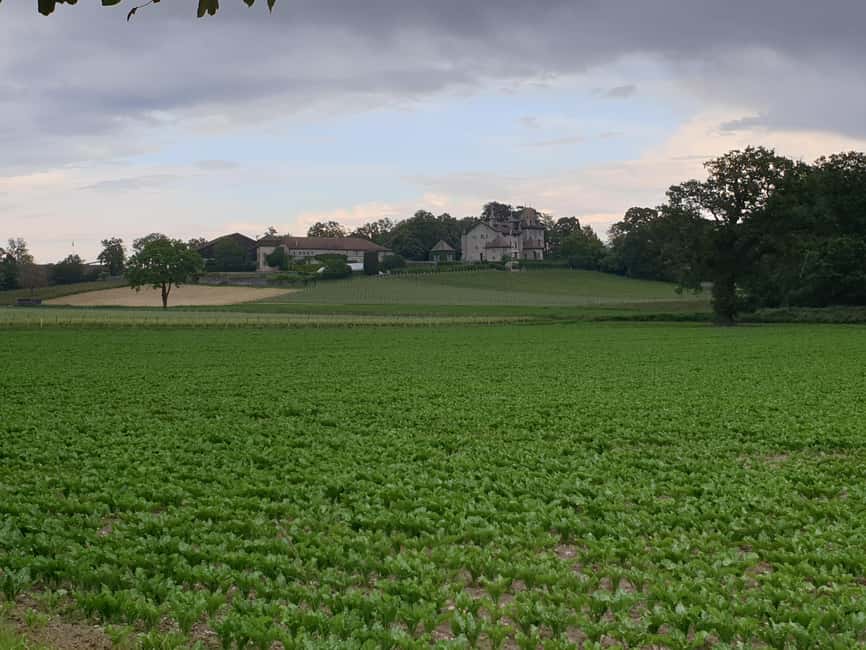Geneva Countryside And Art Museum At A Castle Wine By E-Bike - Useful planning advice