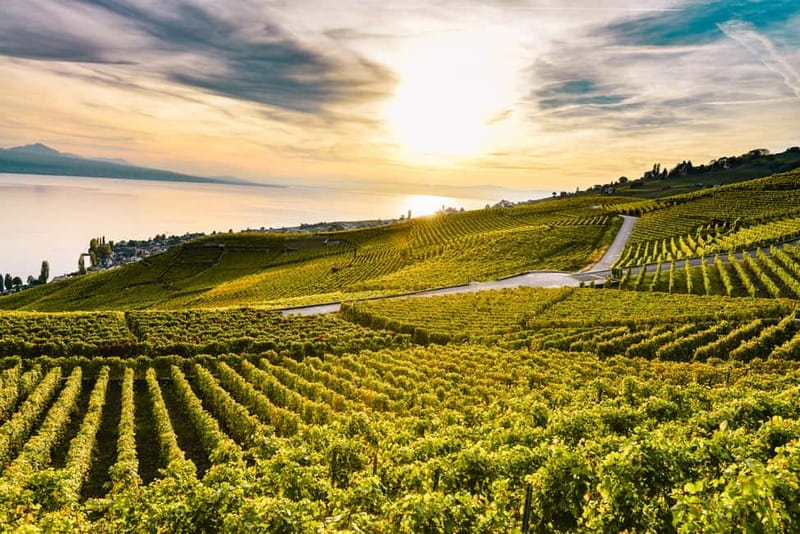 Geneva: Montreux, Chaplin’s World, Chillon Castle & Apéritif - Chaplin’s World: the day’s most distinctive stop