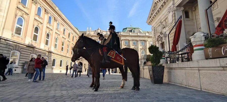 German guided tour through Budapest's castle district - Key points to know before you book