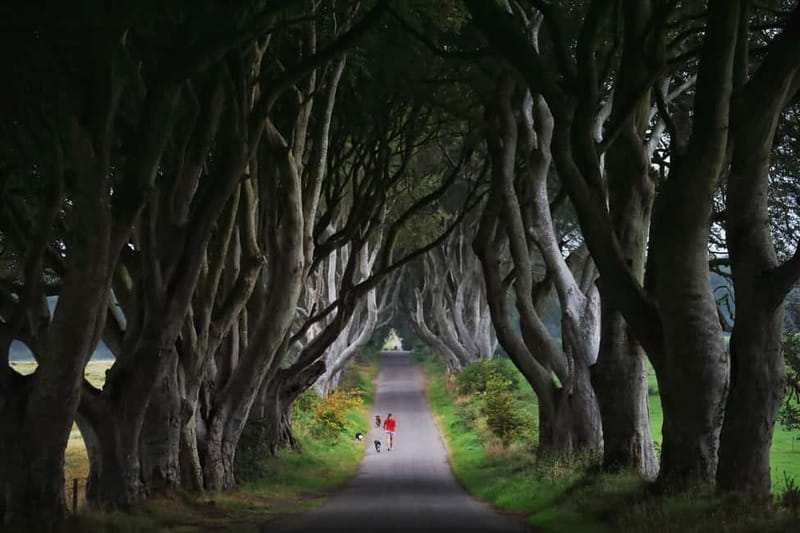 Giants causeway Irish castles & whiskey, Game of thrones - Bushmills connects the coast with Irish whiskey