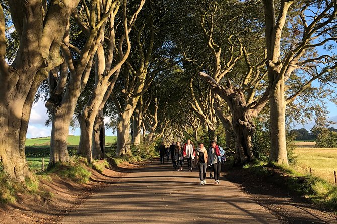 Giants Causeway, Rope Bridge, Carrickfergus Castle and Dark Hedges Tour - Carrick-a-Rede is a viewpoint, not a bridge crossing