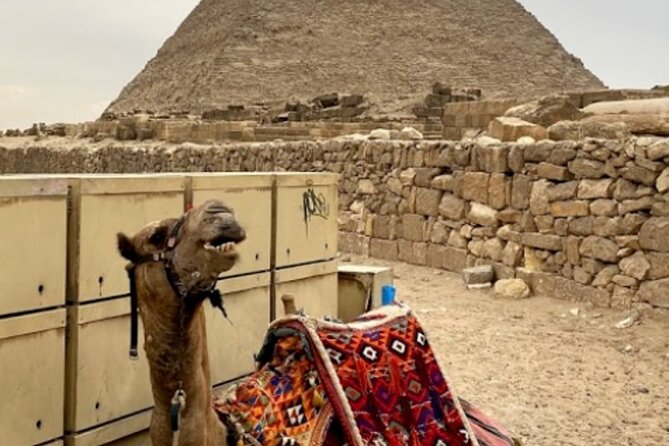 Giza Pyramids, The Egyptian Museum And Cairo Citadel-Mohamed Ali Mosque- Private - Transport, timing, and the value of a private guide