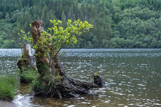Glasgow Shore Excursion: - Loch Lomond - Stirling Castle - Aberfoyle: lunch and a small village pause