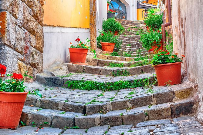 Godollo Sisi Castle and Szentendre Full-Day Private Tour from Budapest - Leaving Budapest in a private car