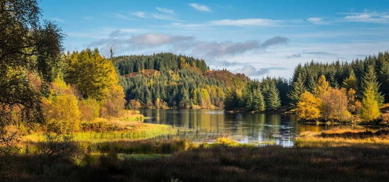 Greenock: Loch Lomond, Trossachs & Stirling Castle Tour - Greenock Ocean Terminal and the first hour