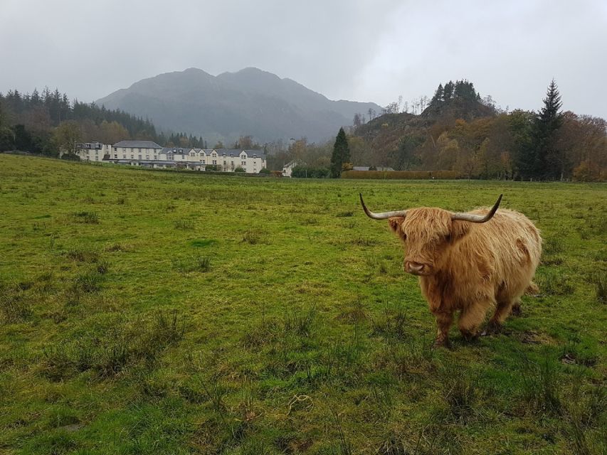 Greenock: Shore Excursion to Stirling Castle and Loch Lomond - Key points to know before booking