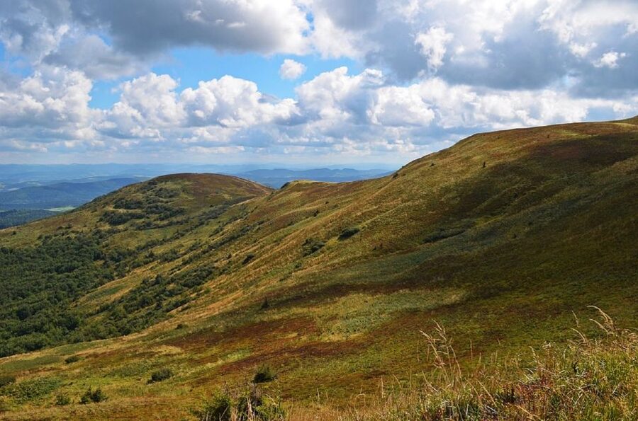 Greenock: Shore Excursion to Stirling Castle and Loch Lomond - What $92 really gets you