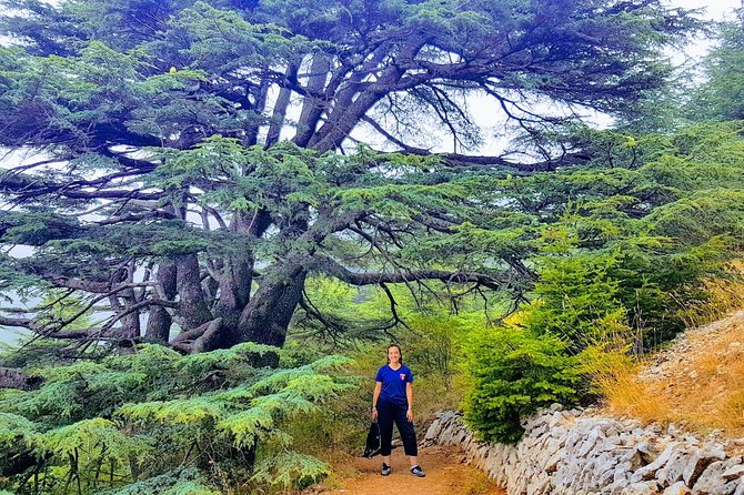 Guided Full-Day Private Trip to Cedars, Baalbek and Chateau Ksara - Why this route works from Beirut