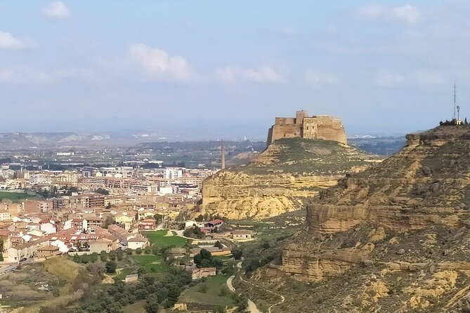 Guided tour of Monzón and the castle 3h. - Who should book this three-hour visit?
