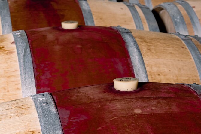 Half day tour Saint-Emilion : Village & Château with wine tasting - Who should book this half-day outing?