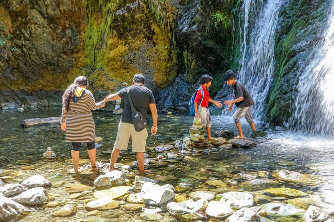 Half Day Tour to Faery Waterfalls, Castle Lake and Mount Shasta - Key points to know before booking