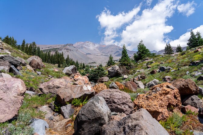 Half Day Tour to Faery Waterfalls, Castle Lake and Mount Shasta - A compact route through Mount Shasta country
