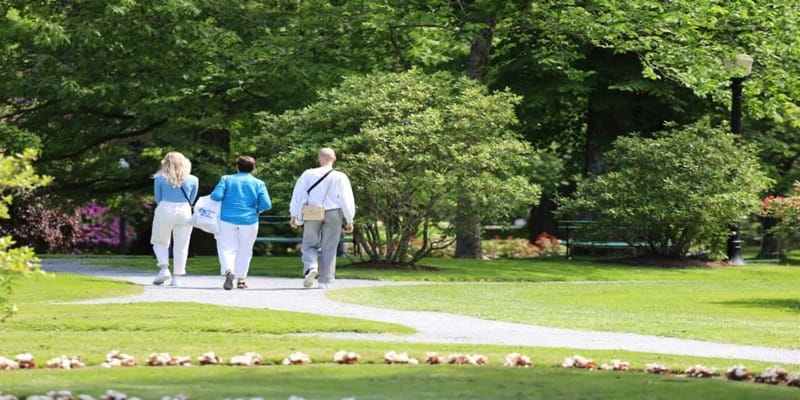 Halifax: Small Group Walking Tour with Citadel & Museum - Key points to know before booking