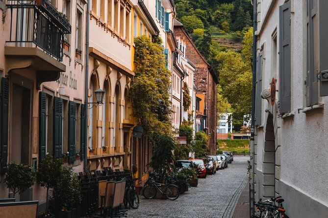 Heidelberg Castle and City Day Tour from Frankfurt - What the castle commentary is like