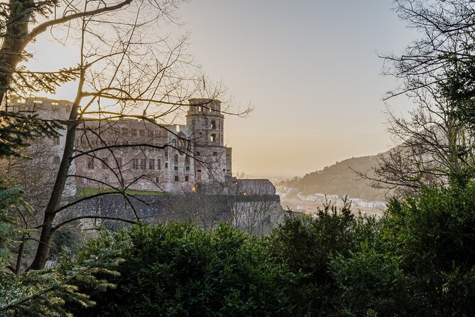 Heidelberg Castle and City Day Tour from Frankfurt - Heidelberg Castle: dramatic ruins above the Neckar