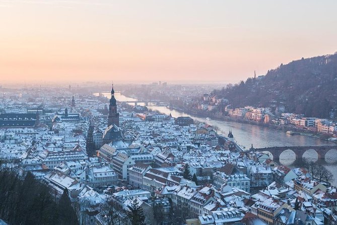 Heidelberg Castle and Old Town Tour from Frankfurt - Is $154.99 good value?