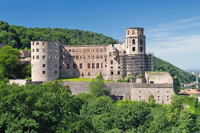 Heidelberg Castle and Old Town Tour from Frankfurt - Who will enjoy this Heidelberg excursion?