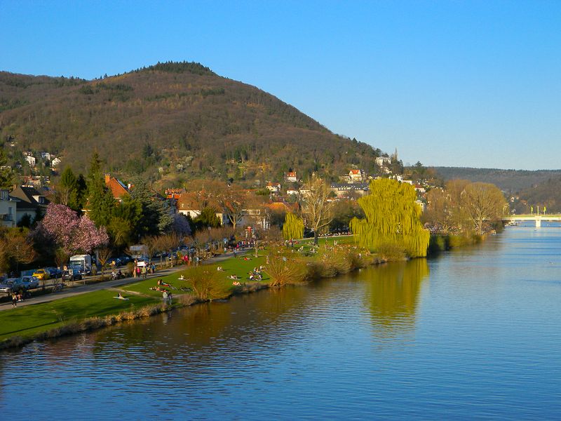 Heidelberg Castle Tour: Residence of the Electors - Why Heidelberg Castle deserves a guided visit