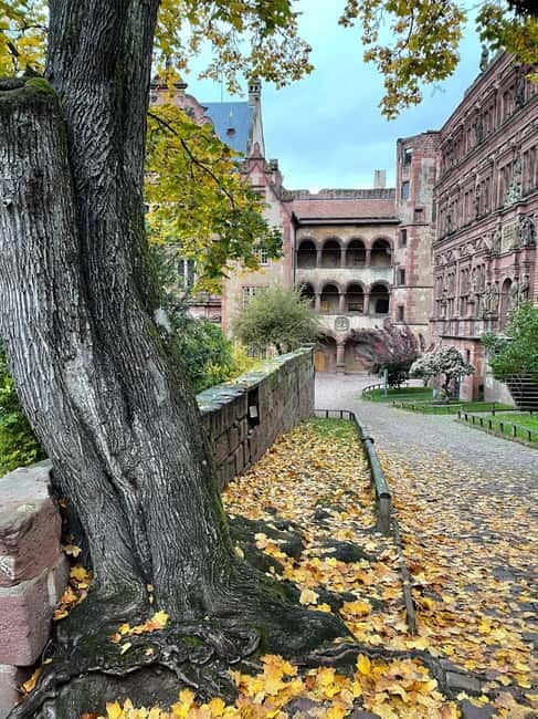 Heidelberg: Discover Heidelberg Castle – experience history up close - Key points to know before booking