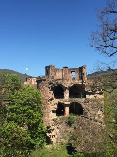 Heidelberg: Discover Heidelberg Castle – experience history up close - Practical details that shape the visit