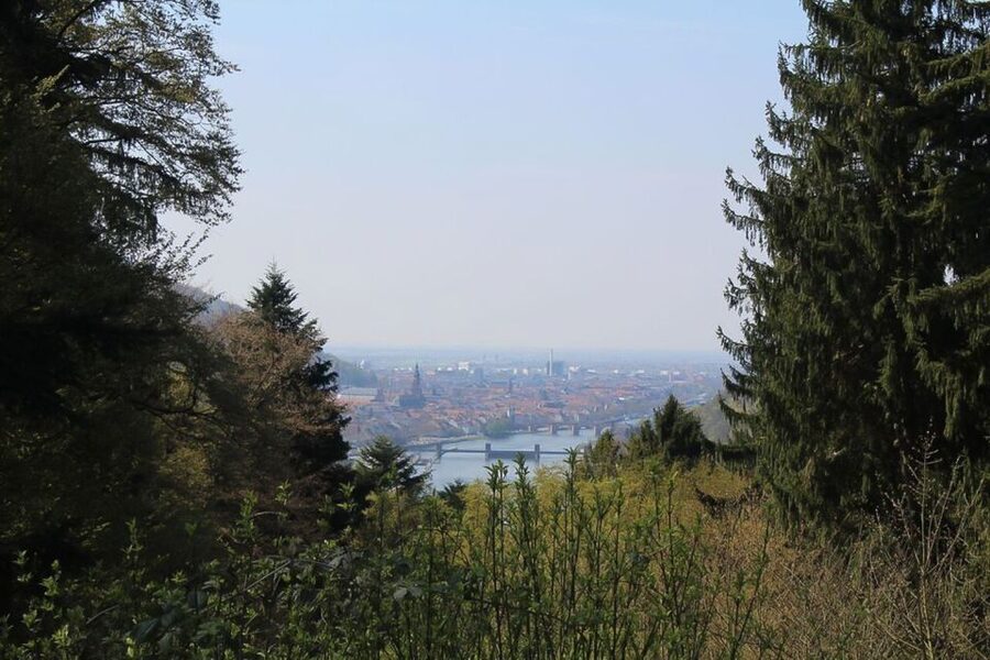 Heidelberg Highlights Segway Tour with Castle - Why A Segway Makes Sense In Heidelberg