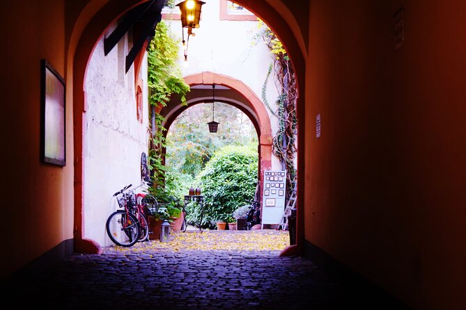 Heidelberg: Old Town Tour Including Castle Visit - The Philosopher’s Trail and the view back to Heidelberg