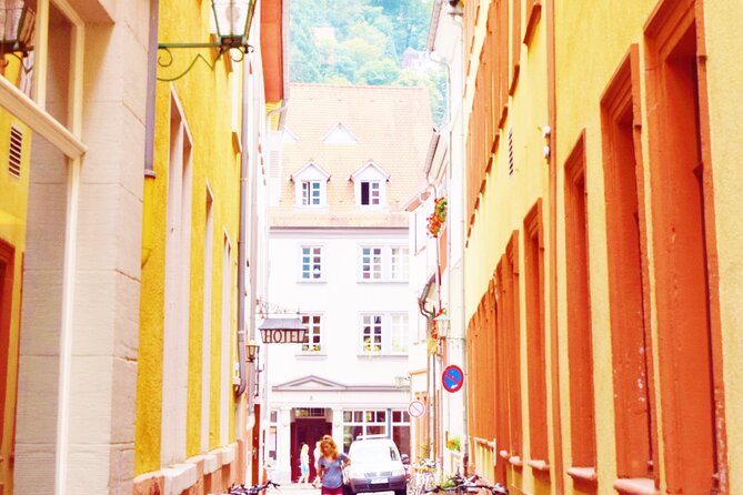 Heidelberg: Old Town Tour Including Castle Visit - Heidelberg Castle and the huge Heidelberg Tun