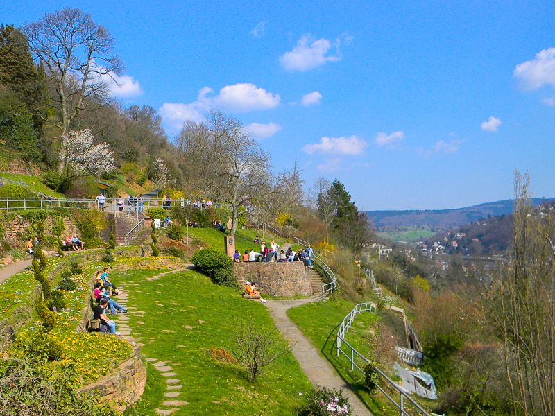 Heidelberg: Private 3-Hour Tour with Castle Visit - Philosopher’s Walk and the view over the river