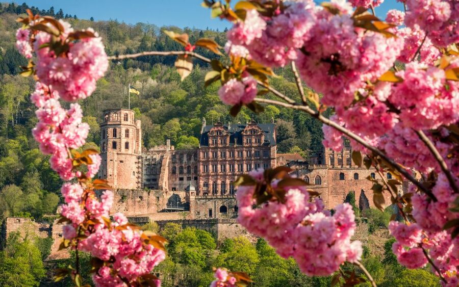 Heidelberg: Sightseeing Bus and Castle Tour - Key points at a glance