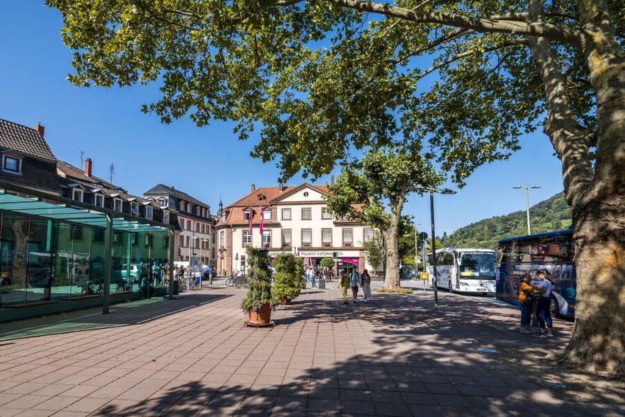 Heidelberg: Sightseeing Bus and Castle Tour - Why this short Heidelberg tour works
