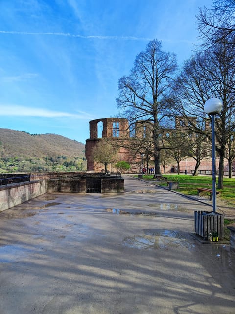 High Lights of Heidelberg - Private Tour of Castle and Town - Key points at a glance
