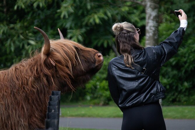 Highlands Cows Glencoe and Castles Private Tour from Edinburgh - Key points to know before booking