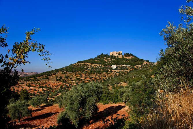 Histroy Tour in Jerash Ruins and Ajloun Castle - Should you book Jerash and Ajloun Castle?