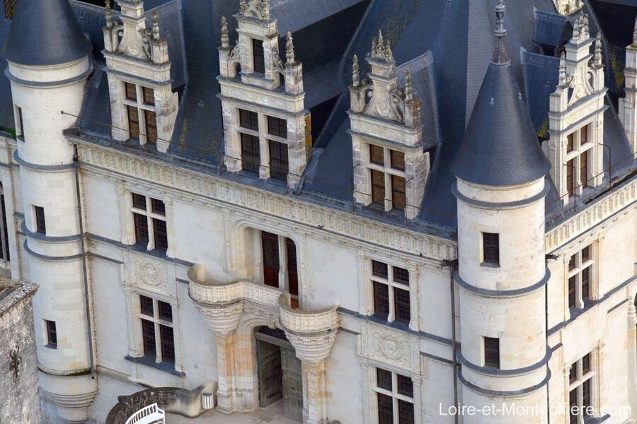 Hot Air Balloon Flight above the Castle of Chenonceau - Why Chenonceau Looks Different From a Balloon