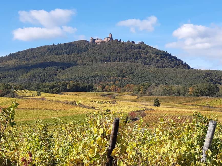 Iconics Typical villages & Haut Koenigsbourg castle - Why this day works well from Colmar