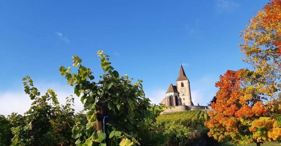 Iconics Typical villages & Haut Koenigsbourg castle - Riquewihr gives you more time to wander