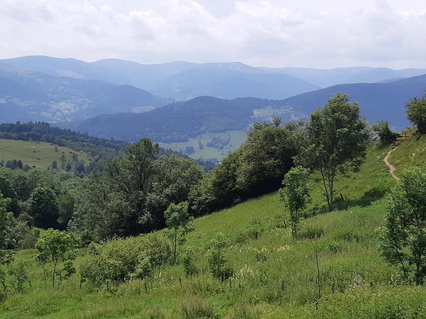 Iconics Typical villages & Haut Koenigsbourg castle - Ribeauvillé adds a different village rhythm