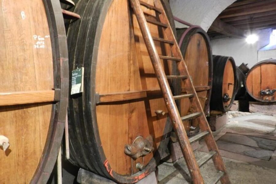 Iconics Typical villages & Haut Koenigsbourg castle - What the $194 price really covers
