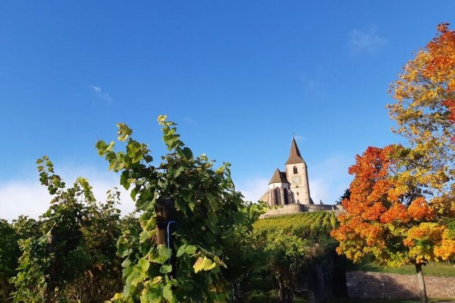 Iconics Typical villages & Haut Koenigsbourg castle - Hunawihr begins the village circuit