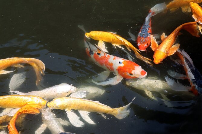 Imperial Palace East Garden and Edo Castle Walking Tour in Tokyo - What the guides add to the walk