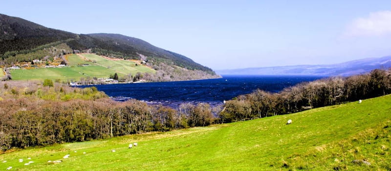 Inverness: Loch Ness Monster Cruise, Lunch, Urquhart Castle - Key points to know before booking