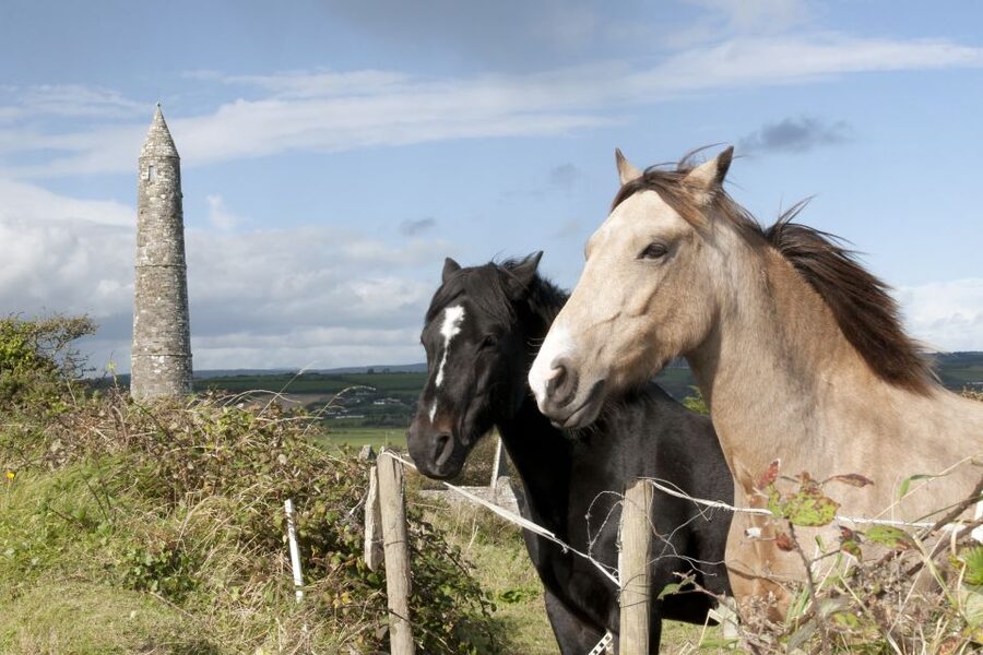 Ireland: Blarney Castle, Kilkenny & Irish Whiskey 3-Day Tour - Kilkenny supplies the evening energy