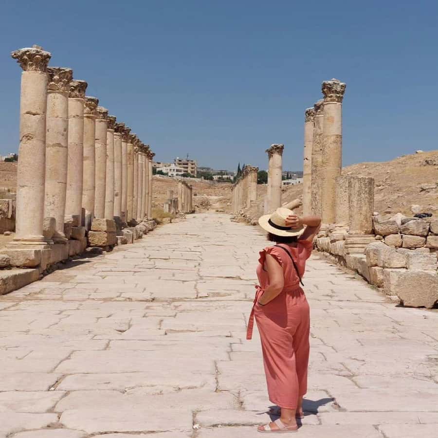 Jerash and Ajloun Castle Day Tour From Amman - Who should book this private day tour?