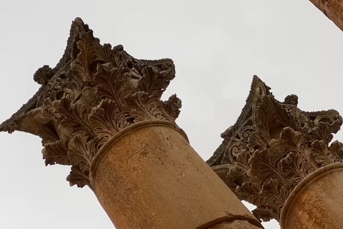 Jerash and Ajloun Castle Full-Day Tour from Amman or Airport - Key points at a glance