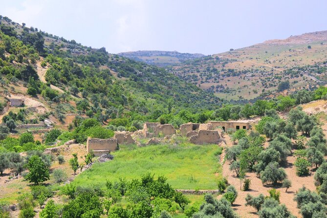 Jerash Umm Qais & Ajloun Castle Tour - Ajloun: castle promise, nature reserve wording