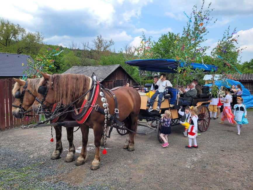 Karlštejn castle by horse carriage - Why a carriage ride suits Karlštejn