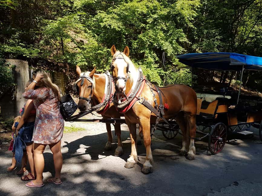 Karlštejn castle by horse carriage - A private group of up to 12: who gets good value